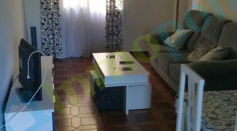 20160819_112300_resized copia