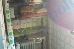 20160819_112309_resized copia