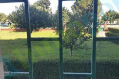 20160819_112317_resized copia