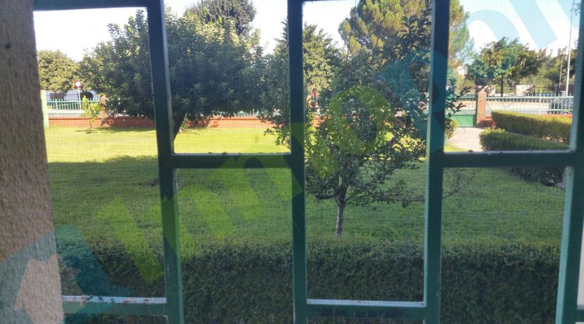 20160819_112317_resized copia