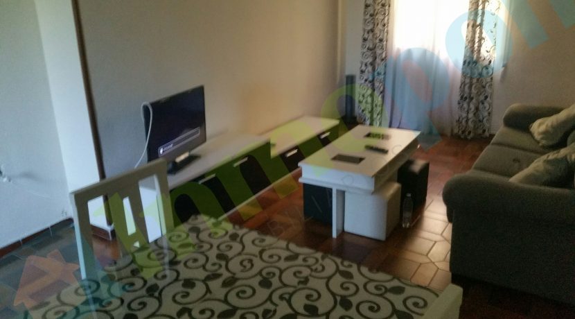 20160819_112327_resized copia