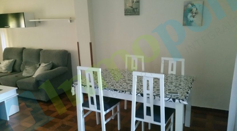 20160819_112341_resized copia