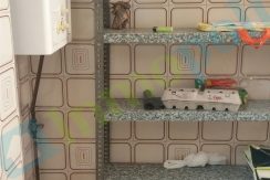 20160819_112657_resized copia