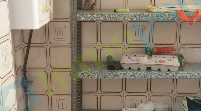 20160819_112657_resized copia