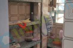 20160819_112710_resized copia