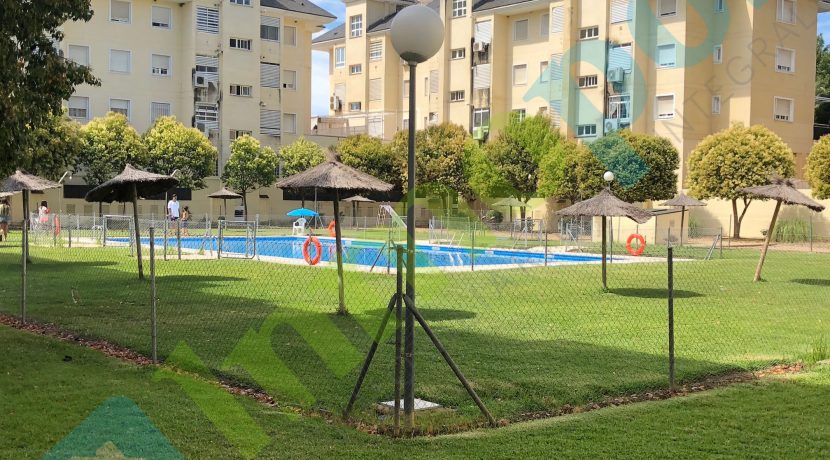 IMG004