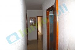 IMG018