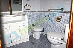 IMG019