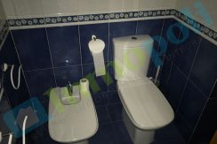 IMG019