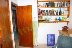 IMG029