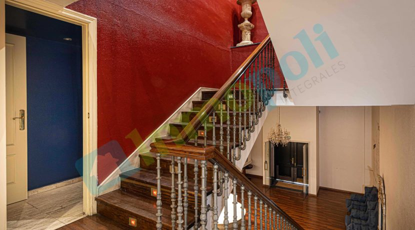 IMG_5680-Editar