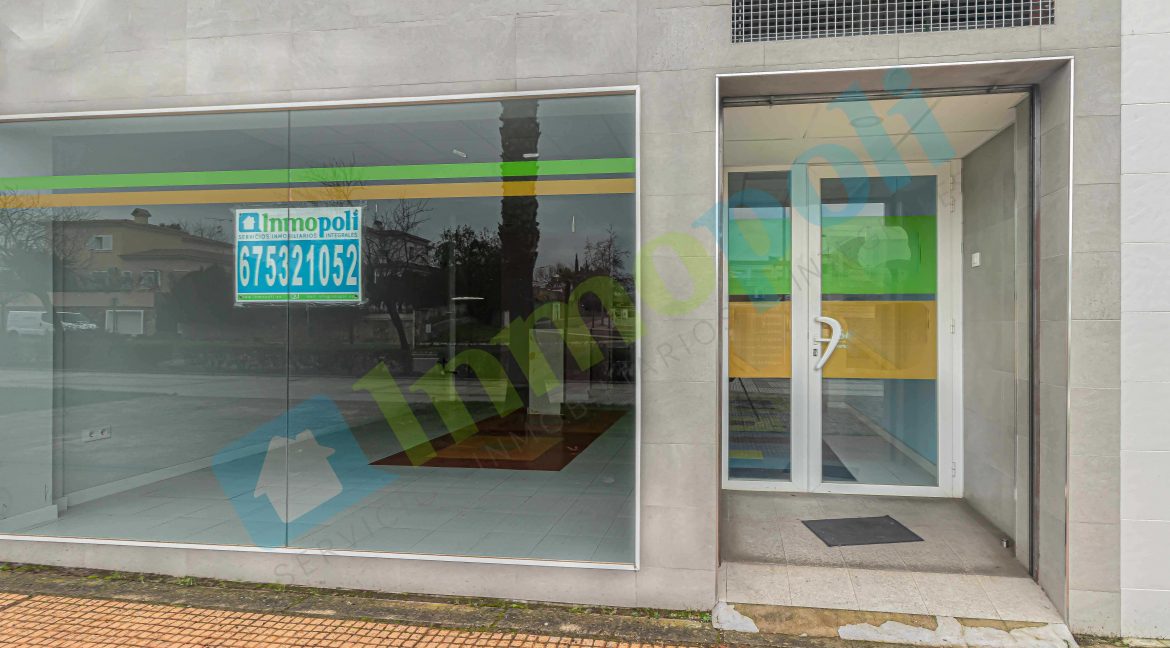 Detalle fachada local A9651S