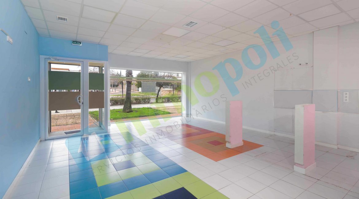 Detalle escaparate y acceso local A9651S