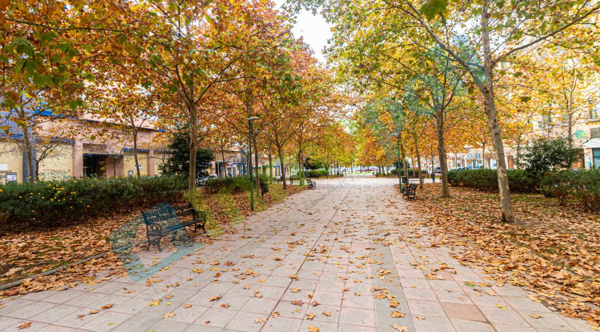 Vista exteriores_2 A10297A