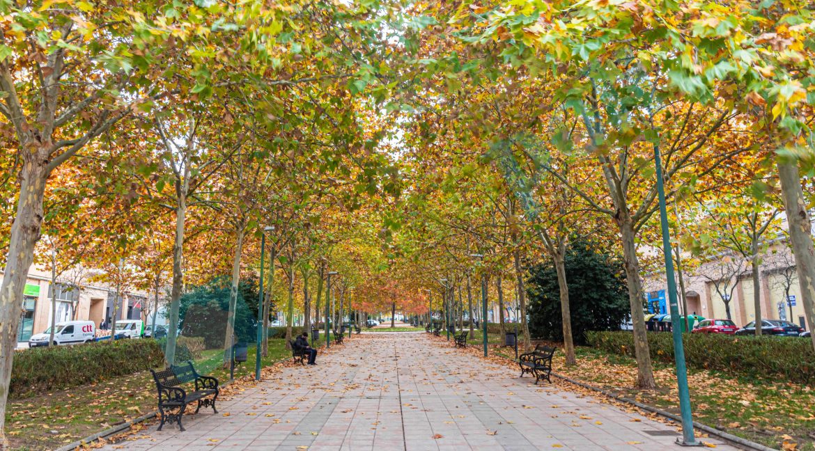 Vista exteriores_3 A10297A