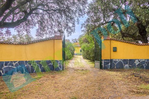 _MG_0923-HDR_V13082A