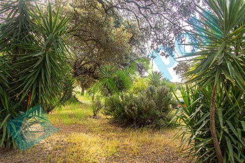 _MG_0954-HDR_V13082A