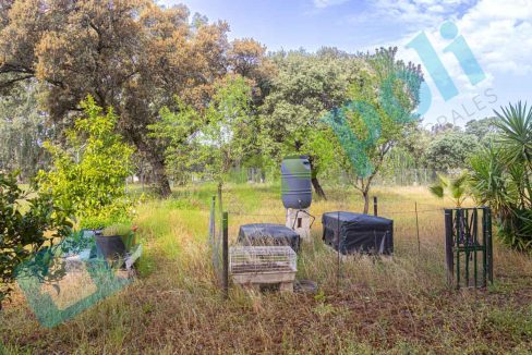 _MG_0958-HDR_V13082A