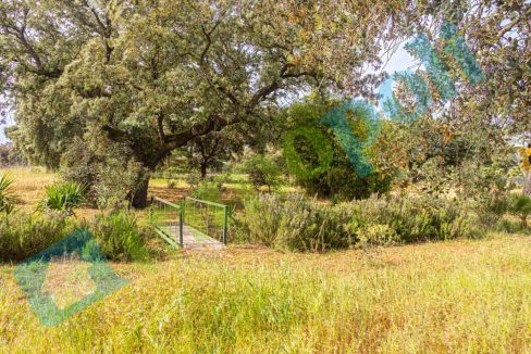 _MG_0996-HDR_V13082A